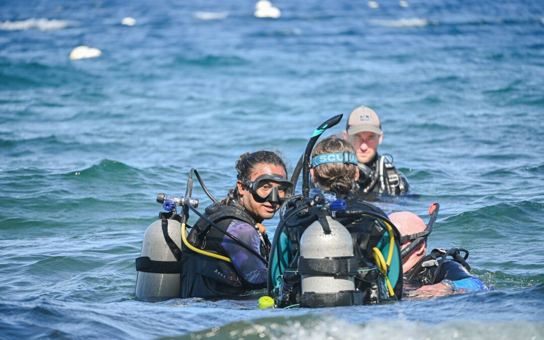 Learn to Teach Program