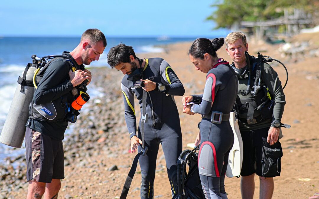 Learn to Teach Program