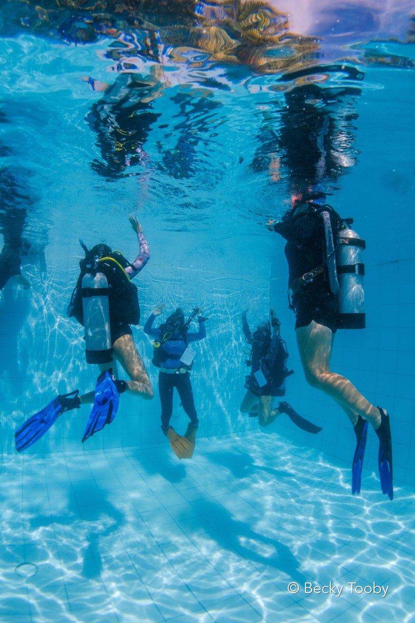 PADI instructor training in pool