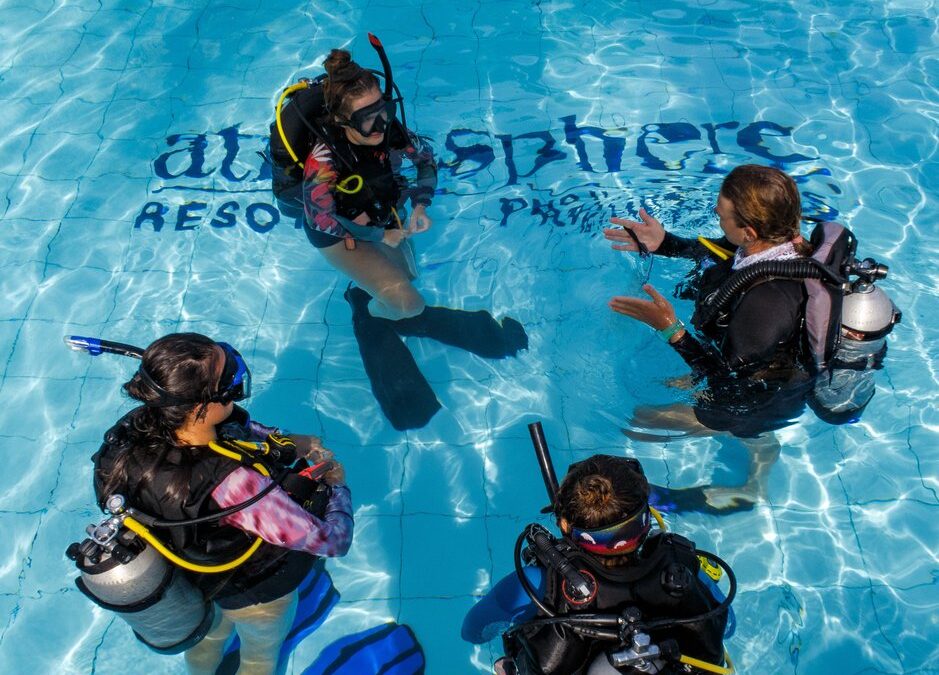 Learn to Teach Program