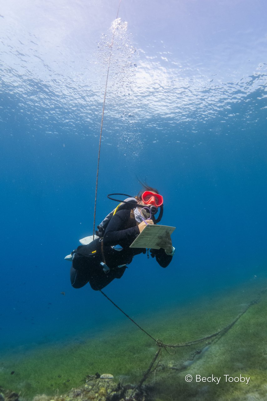 Dauin scuba instructor